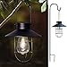 ROJOY Hanging Solar Lights Lantern Lamp With Shepherd Hook, Metal Waterproof  Edison Bulb Lights for Garden Outdoor Pathway