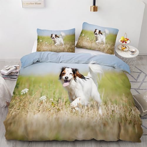 Housse de couette 220x240 avec fermeture éclair parure lit microfibre