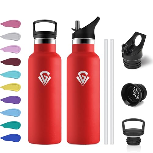 Borraccia Termica 500ml, Bottiglia Acqua senza BPA, Borraccia con Cannuccia, Facile da Pulire, senza Perdite, Isolamento Termico a Doppia Parete, Termos per Scuole, Viaggio, Campeggio, Uffici