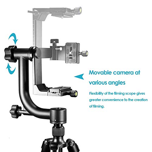 Image of Professional Heavy Duty Metal 360 Degree Panoramic Gimbal Tripod Head with Arca-Swiss Standard 1 /4'' Quick Release Plate and Bubble Level for Digital SLR Cameras up to 30lbs /13.6kg