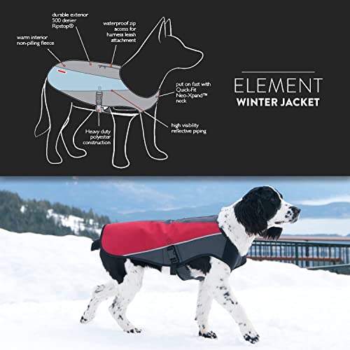 EzyDog Element Best Dog Jacket – Premium Wind and Waterproof Reflective Dog Coat for Safety and Protection – Provides Leash Access to Harness or Collar (Scarlett, Small) EzyDog Element Best Dog Jacket – Premium Wind and Waterproof Reflective Dog Coat for Safety and Protection – Provides Leash Access to Harness or Collar (Scarlett, Small)