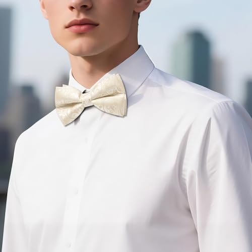 Image of Barry.Wang Paisley Striped Bow Tie for Men Silk Pre-Tied Bowtie Pocket Square Cufflinks Set Formal Wedding Party Prom