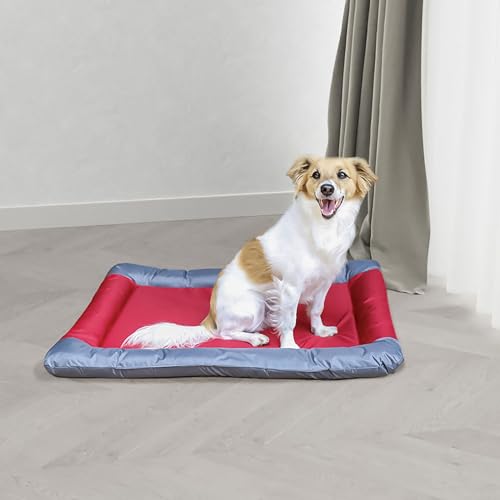 Tapis imperméable pour chiens protégeant vos canapés des taches et poils