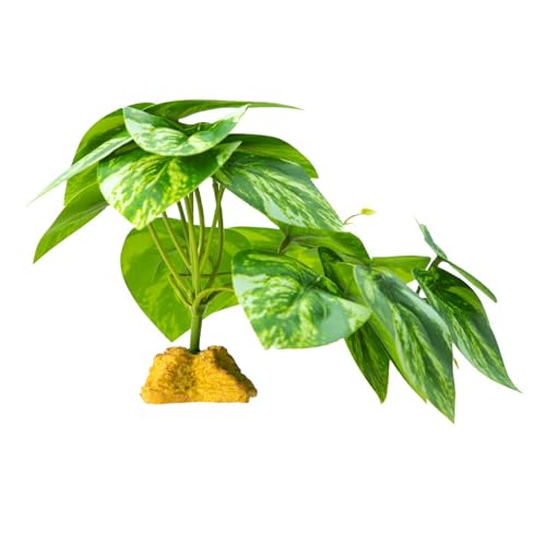 ঒ރNC~OOXeEAeEރgJQwrlHȂ