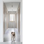 Aluminium Chain Door Curtain 35.24x82.7in (90x210cm), Tangle Free Chain Fly Screens for Doors Effective Flying Insect & Fly Barrier, Silver Decorative Blinds with Removable Links for Adjustable Length