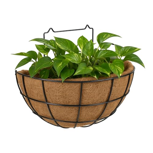 TECHZOCO Macetero de Coco Soporte de Pared