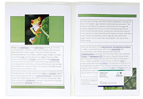 Chemise de présentation Exacompta double poche pour protéger vos documents A4