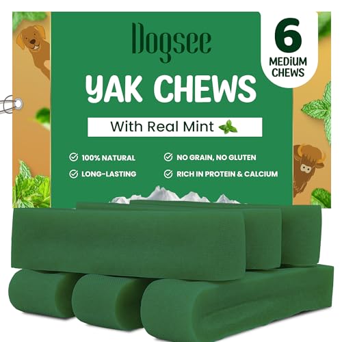 Dogsee Mint Flavor Himalayan Yak Cheese Dental Chews for Dogs 1lb (Medium - 6 Chews) 60% Protein, Aid Digestion Made in Himalayan Regions Odorless Dog Treats
