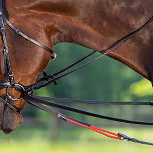 Foto von WALDHAUSEN W-trainRein, Warmblut, schwarz
