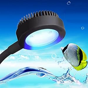 BigTron Full Spectrum Aquarium Light, Small Clip Light for Fish Tank with 2 Blue 10 White LED, 5W Brightness, for 3-5mm Thick (White) (Black)