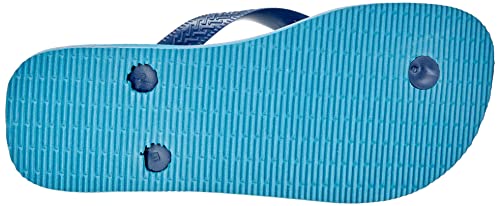 Alpargatas SA 4110850