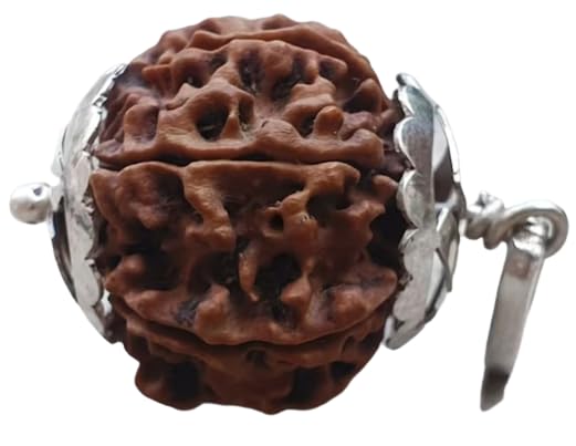 BluDiamond 9 Mukhi Rudraksha Nepal नव मुखी रुद्राक्ष Nau Mukhi Rudraksha 9 Face Rudraksha Original Certified 9 मुखी रुद्राक्ष Nine Mukhi| Face Faced Rudraksha Nepal Bead for Men Women-image-23
