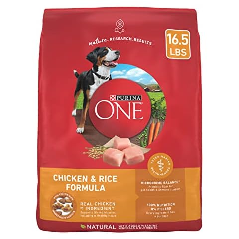 Purina ONE Chicken & Rice Dry Dog Food - 16.5 lb Cover