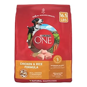 Purina ONE Chicken and Rice Formula Dry Dog Food – 16.5 lb. Bag
