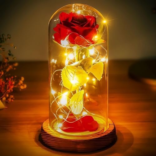 Premium Gifts for Mom from Daughter, Son, Kids - Rose in Glass Dome with 6hr Timer - Beauty and The Beast Rose Decor in a Glass Dome for Decorations