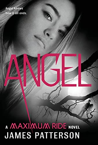 Angel: A Maximum Ride Novel (Maximum Ride, 7)