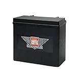 スーパーナット ハーレー専用AGMバッテリー 65989-97S■YTX20L-BS YTX20HL-BS 65989-97C 互換 65989-97S (65989-97S 初期補充電つき)