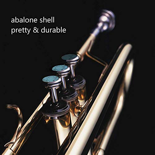 image for Dilwe 3Pcs Trumpet Finger Buttons, Colorful Abalone Shell Finger Key B