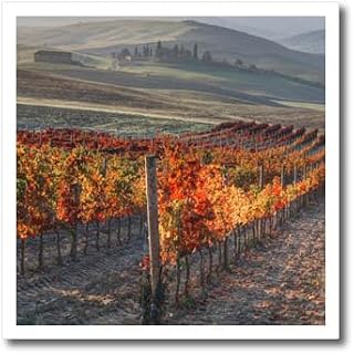 6x6 Iron on Heat Transfer for White Material - Italy, San Quirico, Autumn Vineyards Near San Quirico Vineyards