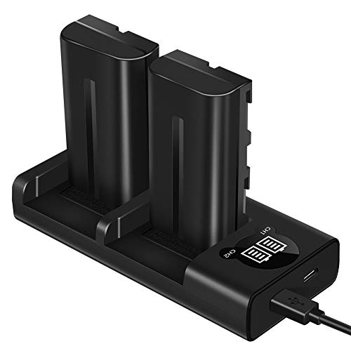 ESDDI NP-F550 Sony-Videokamera-Akku mit Ladegerät mit Zwei Steckplätzen Für Sony R1 / TR11, TR1100E, TR12, TR18, Sony CD-RV100, RV200, SC-Serie, zweifarbiges LED-Licht