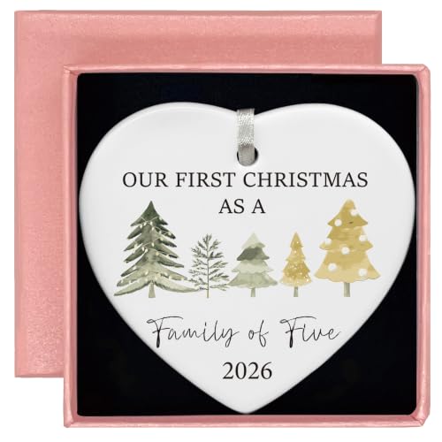 2026 First Xmas Gift for Family of Five-Christmas Tree Ornament Decor
