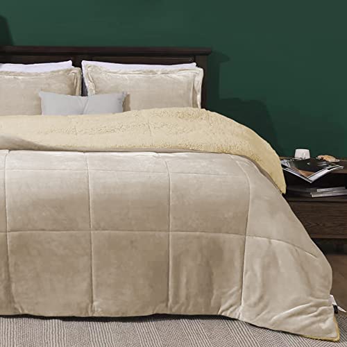 ForenTex Edredón nórdico con Borreguito Ultra Suave y cálido Set de Cama con Funda de Almohada (Beige, Cama 135 y 150 cm (240x260 cm) (6345613)