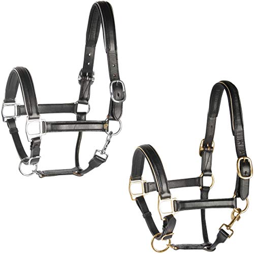 Harry's Horse 28500021-01cob Licol en Cuir Noir/Passepoil Taille M