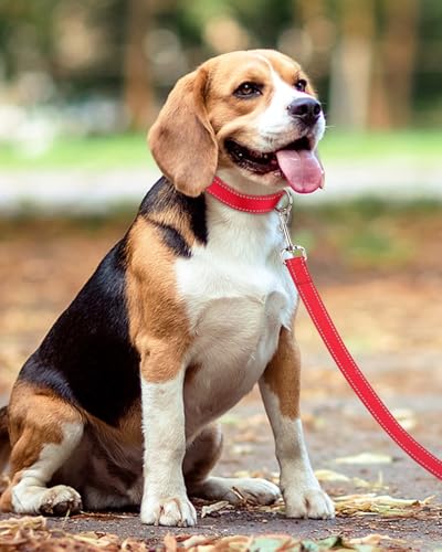 Taglory Hundeleine Kleine Hunde Leicht | Doppelseitig Reflektierend | Gepolsterter Griff | Bis zu 10 kg | 1.8m x 2cm | Rot