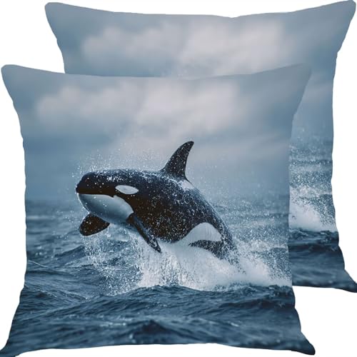 �N�b�V�����J�o�[ 55x55cm �h���N�b�V�����J�o�[ �A�E�g�h�A�\�t�@�[�N�b�V���� 2�_�Z�b�g �K�[�f���V�[�g�������J�o�[ ���l������ �����s���[�J�o�[, �l�G�ʗp �щB���t�@�X�i�[�� ���ʃp�^�[���N�b�V���� �K���� ���蕨�ɂ��� �����瓮�� X8JJ-
