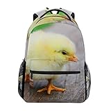 Besonderheit: modische Textur und robust; einfaches Styling; multifunktional und hübsch