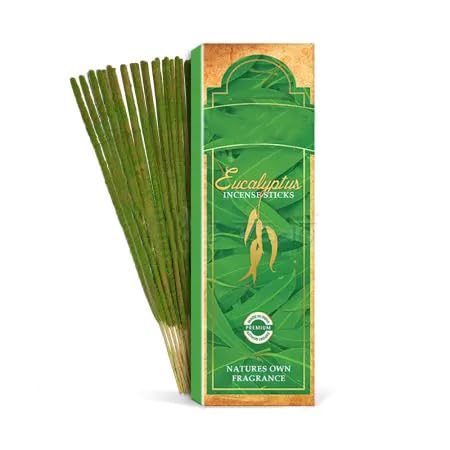 Varillas de incienso de eucalipto, aroma puro de oración Agarbatti, varillas de fragancia de alta calidad (500 gramos)