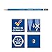 STAEDTLER Mars Lumograph B Graphite Art Drawing Pencil, Very Hard, Break-Resistant Bonded Lead, 12 Pack, 100-B
