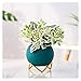 vhhhjhhkl Cute Small Flower Pots Ceramic Flower Planter Pots Indoor Flower Plant Pots Modern Decorative Gardening Pot for All House Plants Plant Containers Small Flower Pots (Color : White) (Yellow)