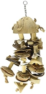 best bird toys for hawk headed parrots that your feathered friend will love 1 best bird toys for hawk headed parrots