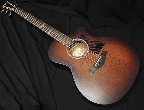 Taylor AD24ce AJh[V[Y eC[ GAR GNgbN AR[XeBbNM^[ AEgbg