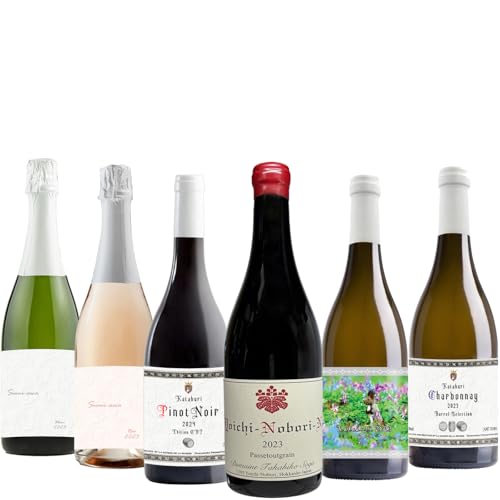 ��1�l�l1�Z�b�g�@�]�s�E�m�؁@�v���~�A�����C���U�{�Z�b�g �h���[�k �^�J�q�R ���E���]���E�h�E���E�����B�G�[���@��(�s�m�E�m���[���j ���C�`�E�m�{���EN �p�X�g�D�O���� Domaine Takahiko Yoichi Nobori N Passetoutg