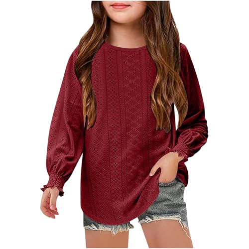 Long Sleeve Eyelet Tops for Girls Dressy Casual Crewneck Shirts Hollow Out Crochet Lace Blouses Fall Fashion Clothes 6-15T