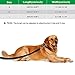 ETACCU Doppelte Leinen Freihandleinen Übungsleinen mit Rollleinen 3M für mittlere Hunde bis 50 Kg, Große Hunde Robuste Rutschfester Griff, Ohne Verwicklung, Reflektierende (Schwarz)