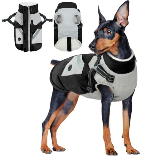 Small Dogs Coat With Harness, Waterproof Jacket Winter Reflective Jacket Warm Clothes for Small Dogs French Bulldog Coat(Black, XS)