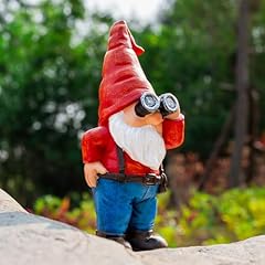 Telescope Gnome