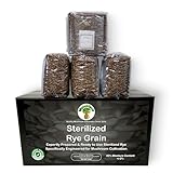6 lbs sterilized rye grain berries