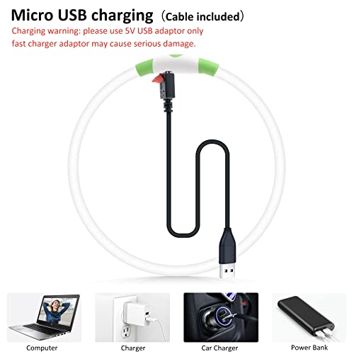 Bpawser Light Up Dog Collars Led Dog Collar 1 Count Multi-Color Micro Usb Rechargeable Tpu Glow Safety Basic Dog Collars For Large Medium Small Dogs (Cyan) #TOP3