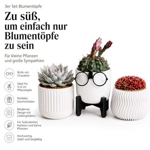 Mini pots de fleurs blancs par 3 pour succulentes de 5 cm - 7