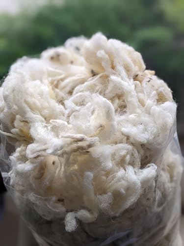 Image of 1 Lb raw Wool Sheep Washed w /Debris,Natural Wool for Stuffing Animals, Crafts, Cushions, Pillow Filler, Needle Felting Spinning.School Projects
