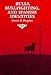Bulls, Bullfighting, and Spanish Identities (The Anthropology of Form and Meaning)