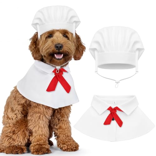 Disfraz Chef para Perro Pequeño Abbylike