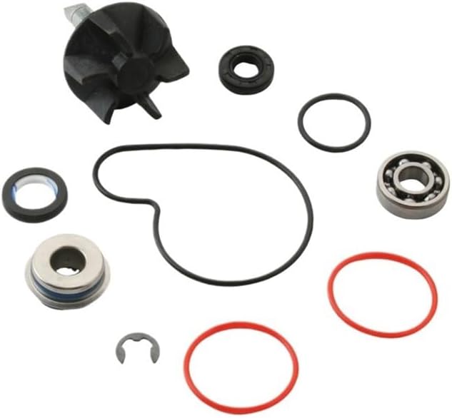 Water Pump Repair Kit for Bn125 Bn150 Bn250 Bn400 Bn Eo 125cc 150cc 250cc 400cc 100110260