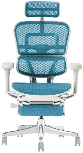 �y���K����X�̔� ���[�J�[�g�������i �V��Ճ_�u�����b�L���O�zErgohuman �G���S�q���[�}�� �v��2 �I�b�g�}�� �n�C�o�b�N (�t���[�� �O���[ × ���b�V�� �u���[) EHP2-LPL-DR-GF-BL