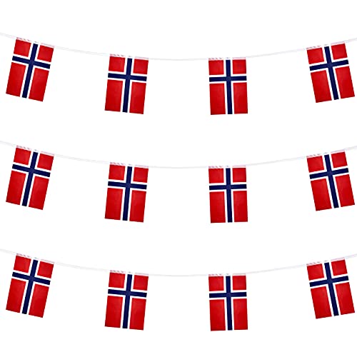 ZXvZYT Noorse vlag banner string, kleine mini-vlaggen van Noorwegen wimpel, voor grote opening, Olympische spelen, nationale sportevenementen, feestfestivaldecoraties (50 meter 38 vlaggen)