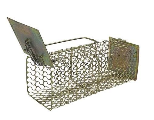 A Z COLLECTION Rat, Rodent, Mouse Trap/Catcher Iron Big Size - Ultimate Solution to All Rat Problems (PACK OG 1 PCS)-image-5